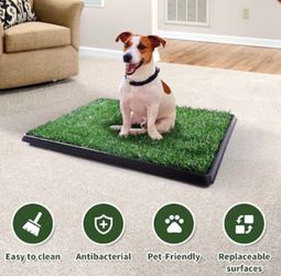 Artificial Grass Dog Potty Training Mat with Drainage Tray – 20” x 25”