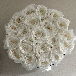 The Million Roses - 20 Real Preserved White Roses in Round Black Box