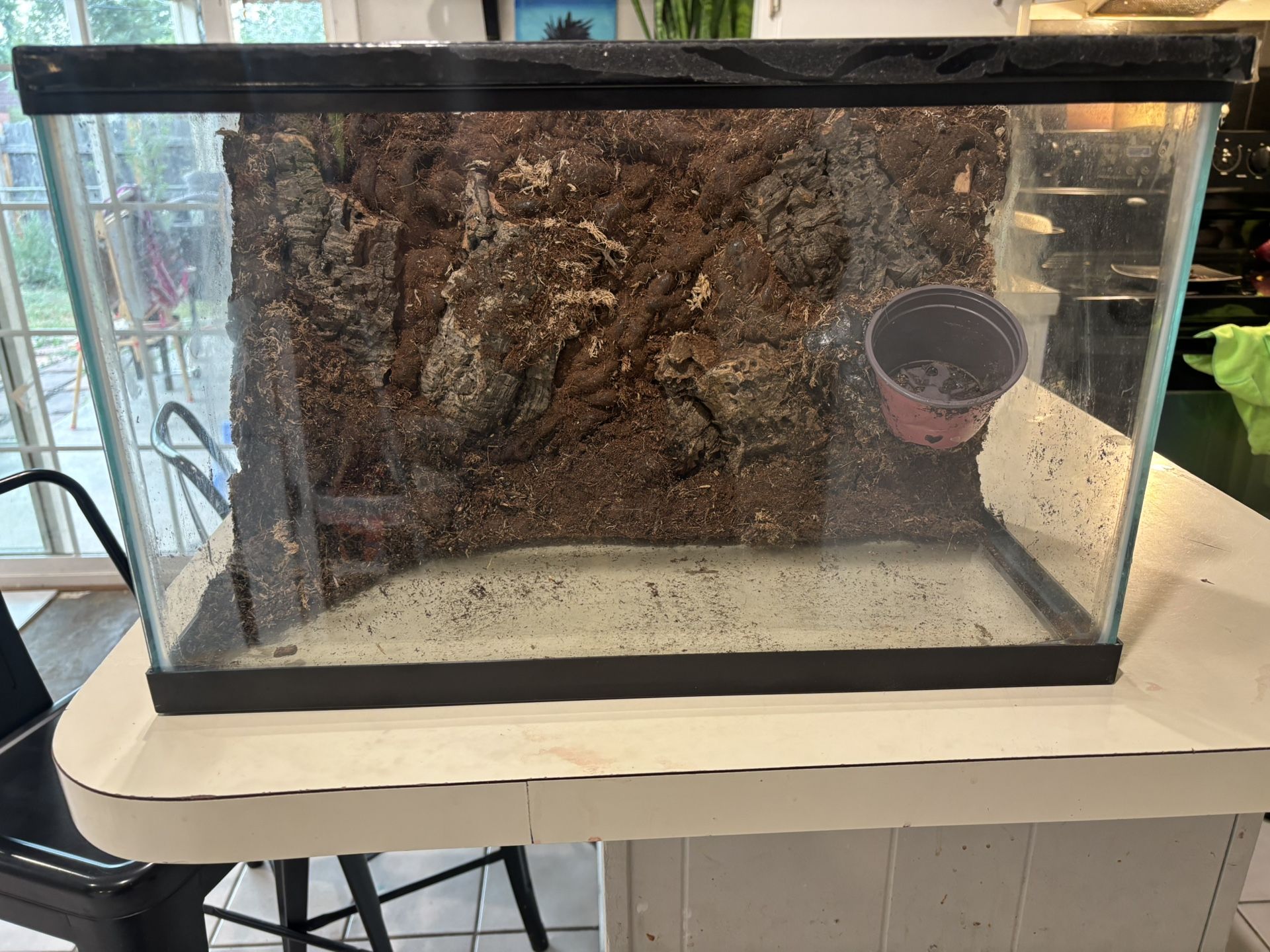 Reptile Tank 