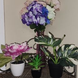 Home Decors