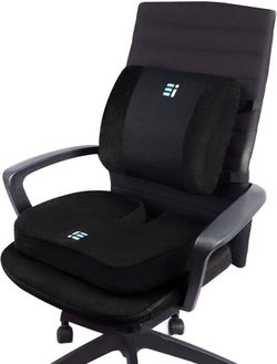 Ergonomic Innovations Seat Cushion & Lumbar Cushion $9.99