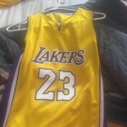 Authentic 2018 Lebron James Jersey