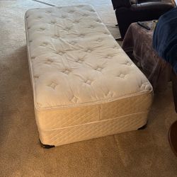 Twin Mattress And Box Springs