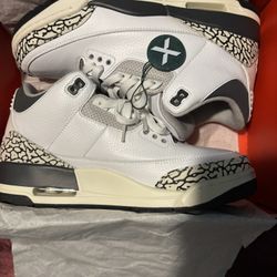 Jordan 3 Hide n Sneak