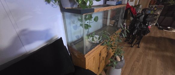 52 Gallon fish tank and stand