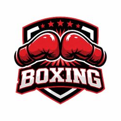 Boxing Classes 