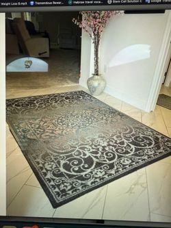 FLASH SALE. AREA RUG AND RUNNER 