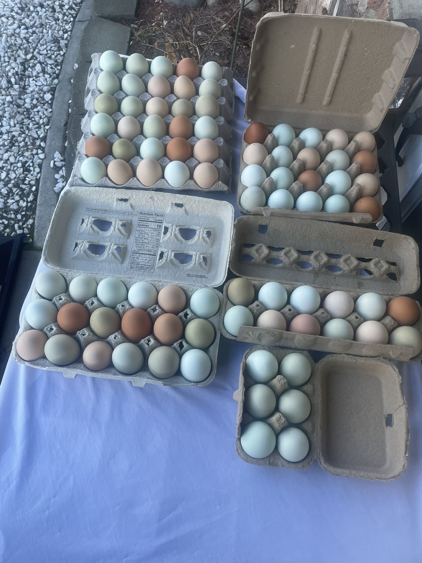 Daily Fresh, Organic, Free Range Local Chicken Eggs