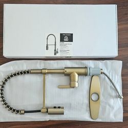 Project Source Flynt Brushed Gold Kitchen Faucet