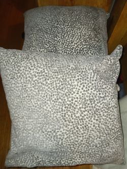 Very Nice Pair Of Throw Pillows 