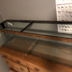 Large Glass Tank