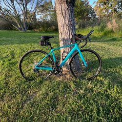 Canyon Endurance CF SL 8.0 19/20 XS Di2 (Women’s) Shimano Ultegra
