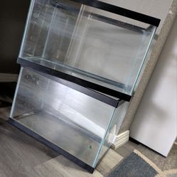 5 GALLON FISH TANKS