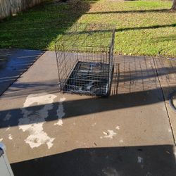Dog Cage 