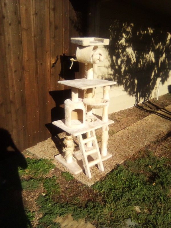 Cat Tower and Petbobi Combo | price Negotiable