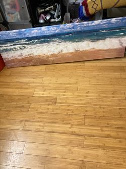 60 inches long Portrait $6