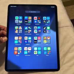iPad Pro (12.9 Inch)