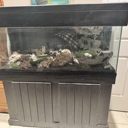 Salt And Fresh Water Fish Tank For Sale 