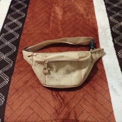 Carrier Purse