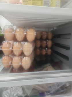 Eggs