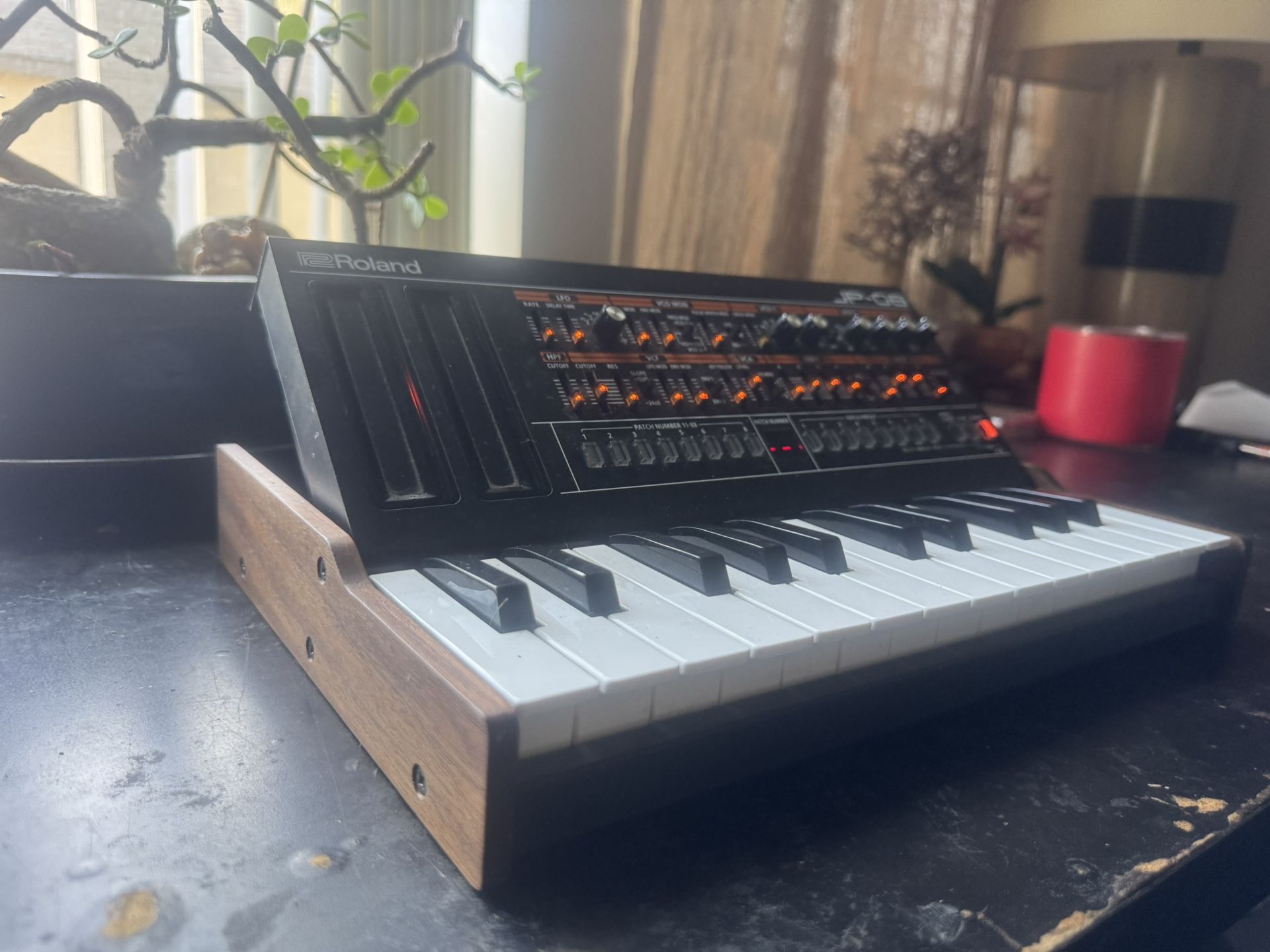 Roland Jp 08 Jupiter 8