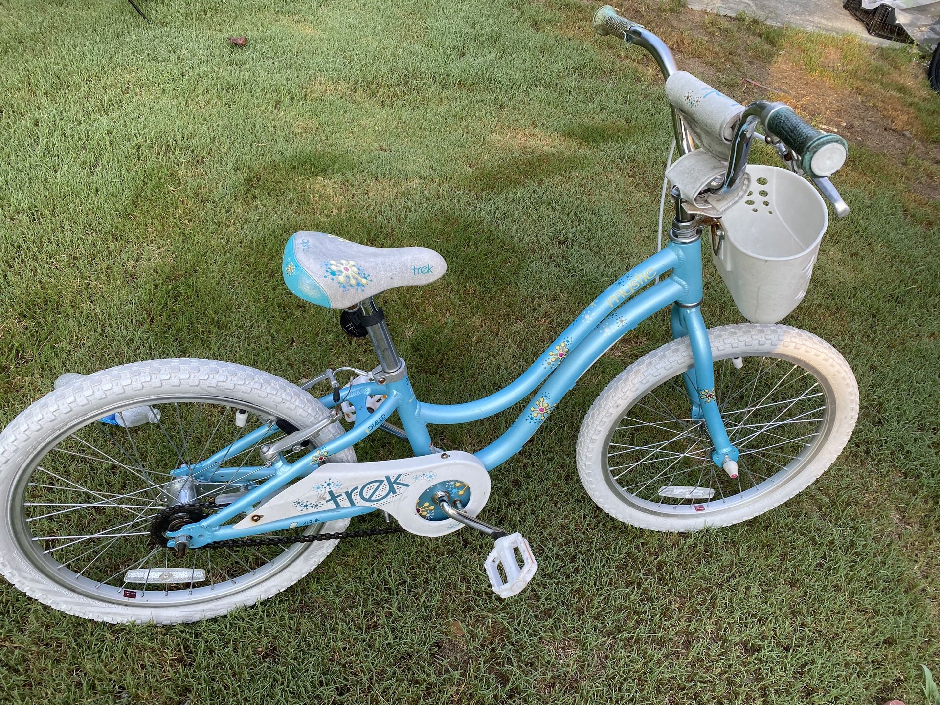 20inch Trek Bicycle
