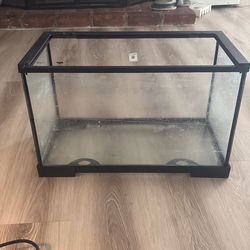 10 Gallon Tank