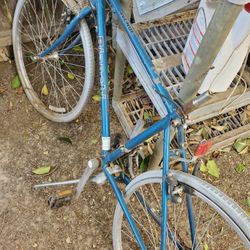 Bianchi