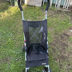 Carreola Negra-As is