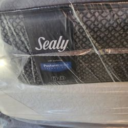 Sealy Mattress Queen