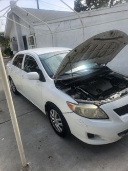 Economic Daily driver gas Saver