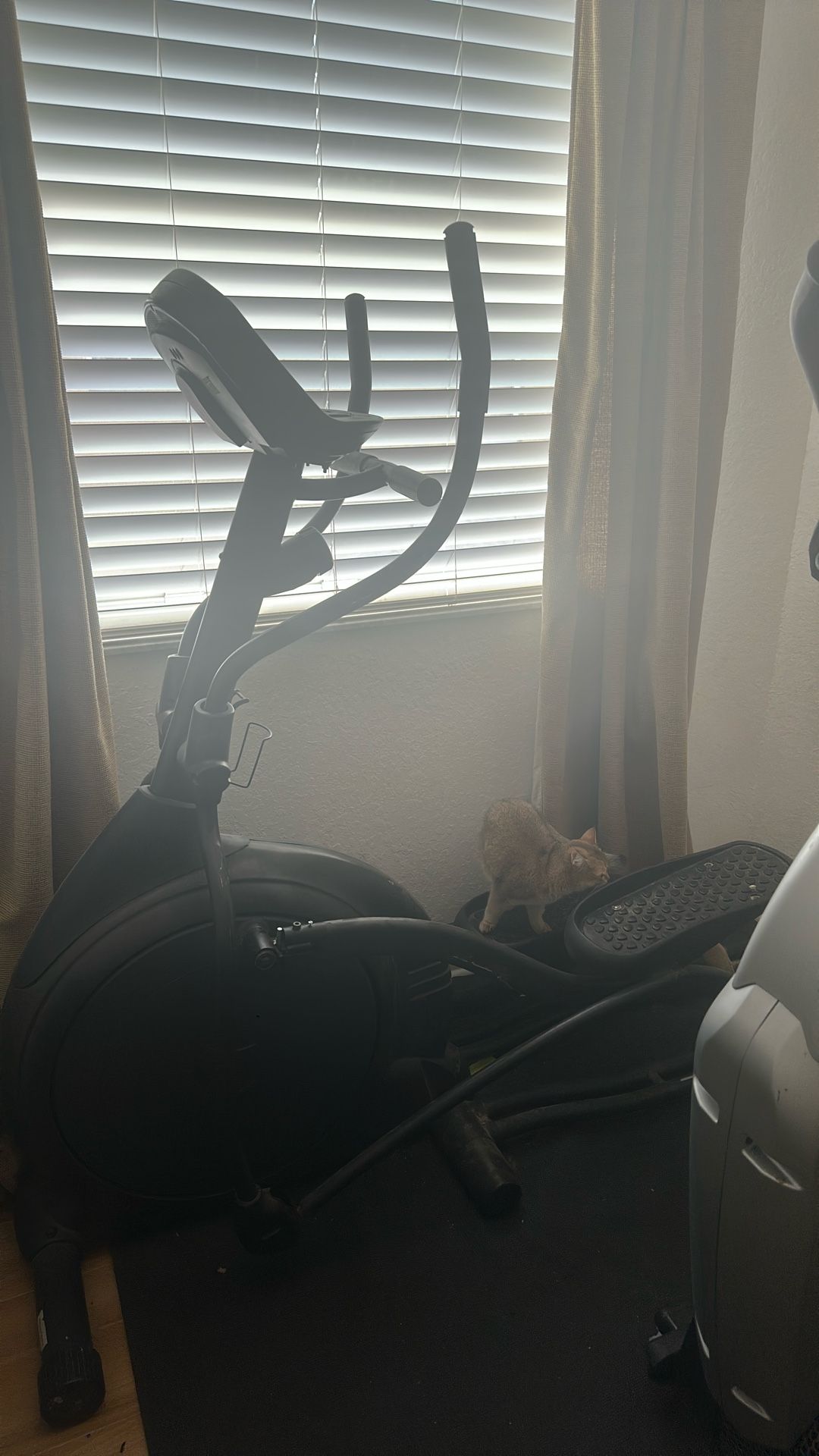 Elliptical-no Power Hookup Required
