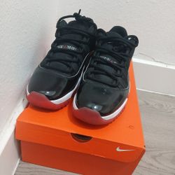 Jordan Bred 11's 