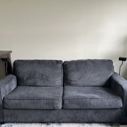 Sofa and Loveseat **NEED GONE ASAP**