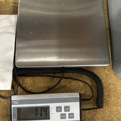 Scale