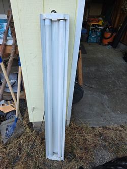 Free shop light works