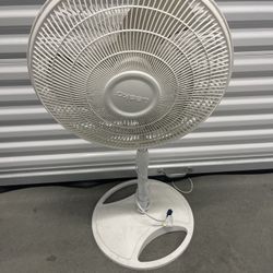 Fan