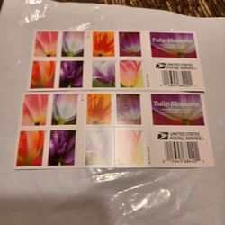 Set Of 40 USPS Tulip Blossoms Stamps 2023 (2 Books Of 20)