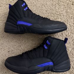 Size 10 (Pre owned, no box) - Air jordan 12 retro dark concord 