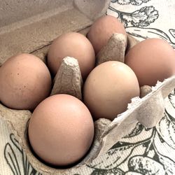 Free Range Chicken Eggs 