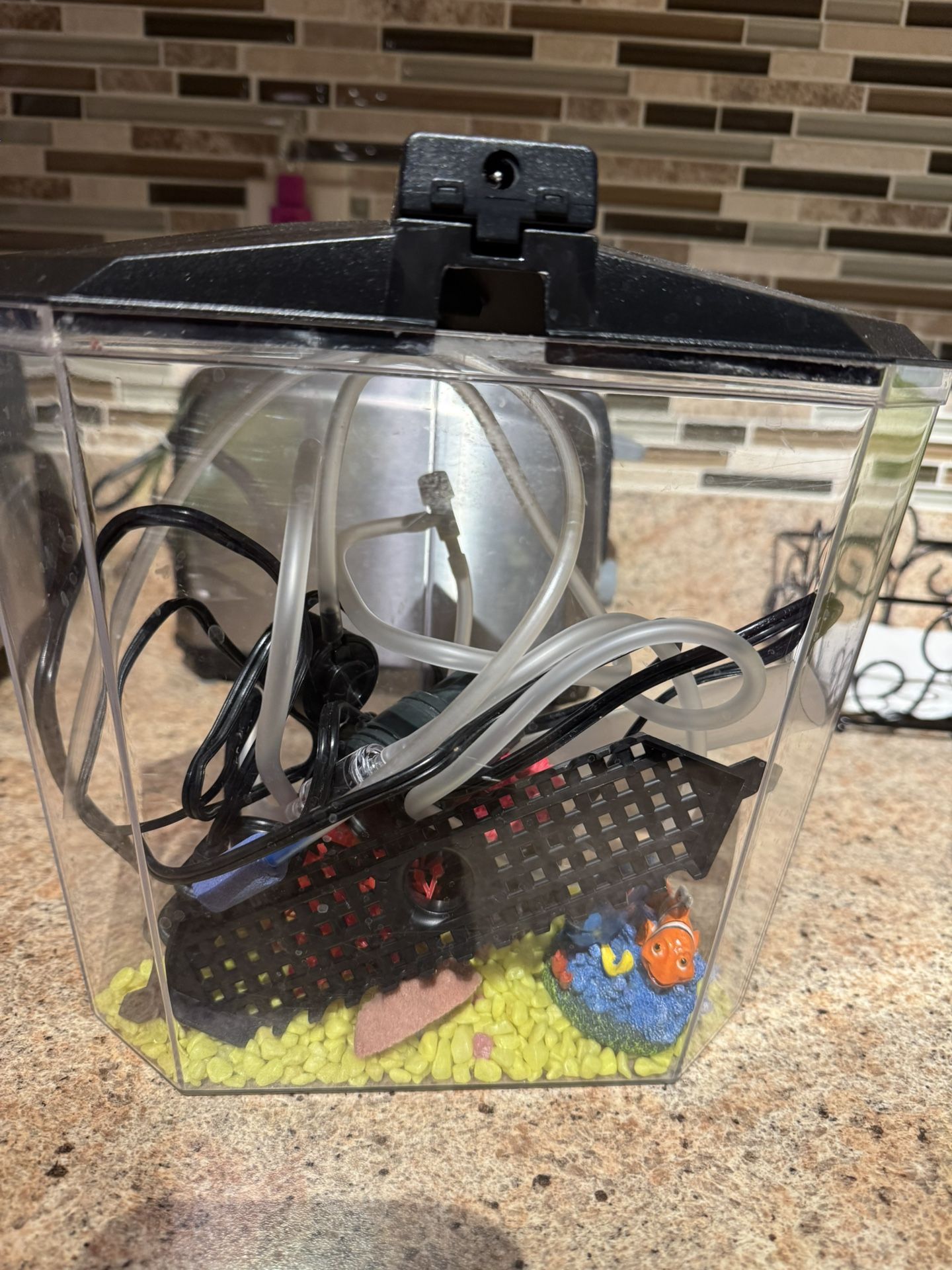 Fish Tank