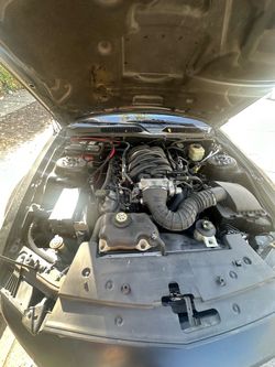 2008 Ford Mustang
