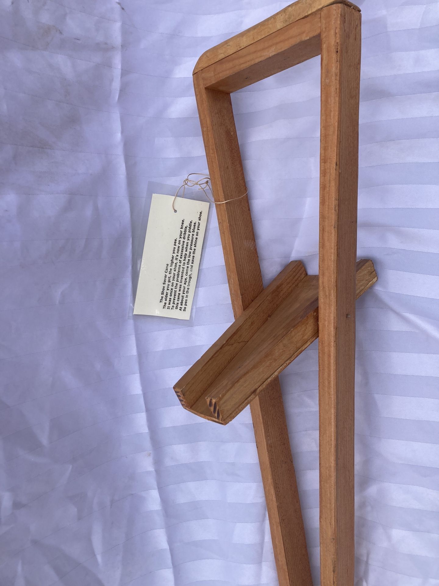 Walking Cane Shoe Saver Cane