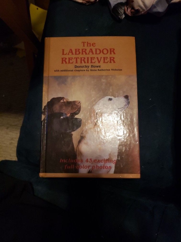 The Labrador Retriever Book