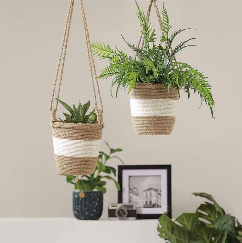 Flower Plant Pot