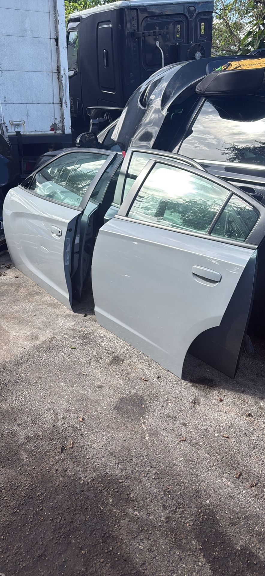 ANY DOOR DODGE CHARGER
