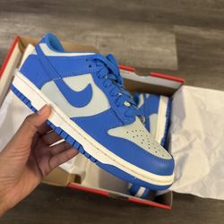 Nike Dunk Low Boys Size 7Y Brand New Fb9109-004