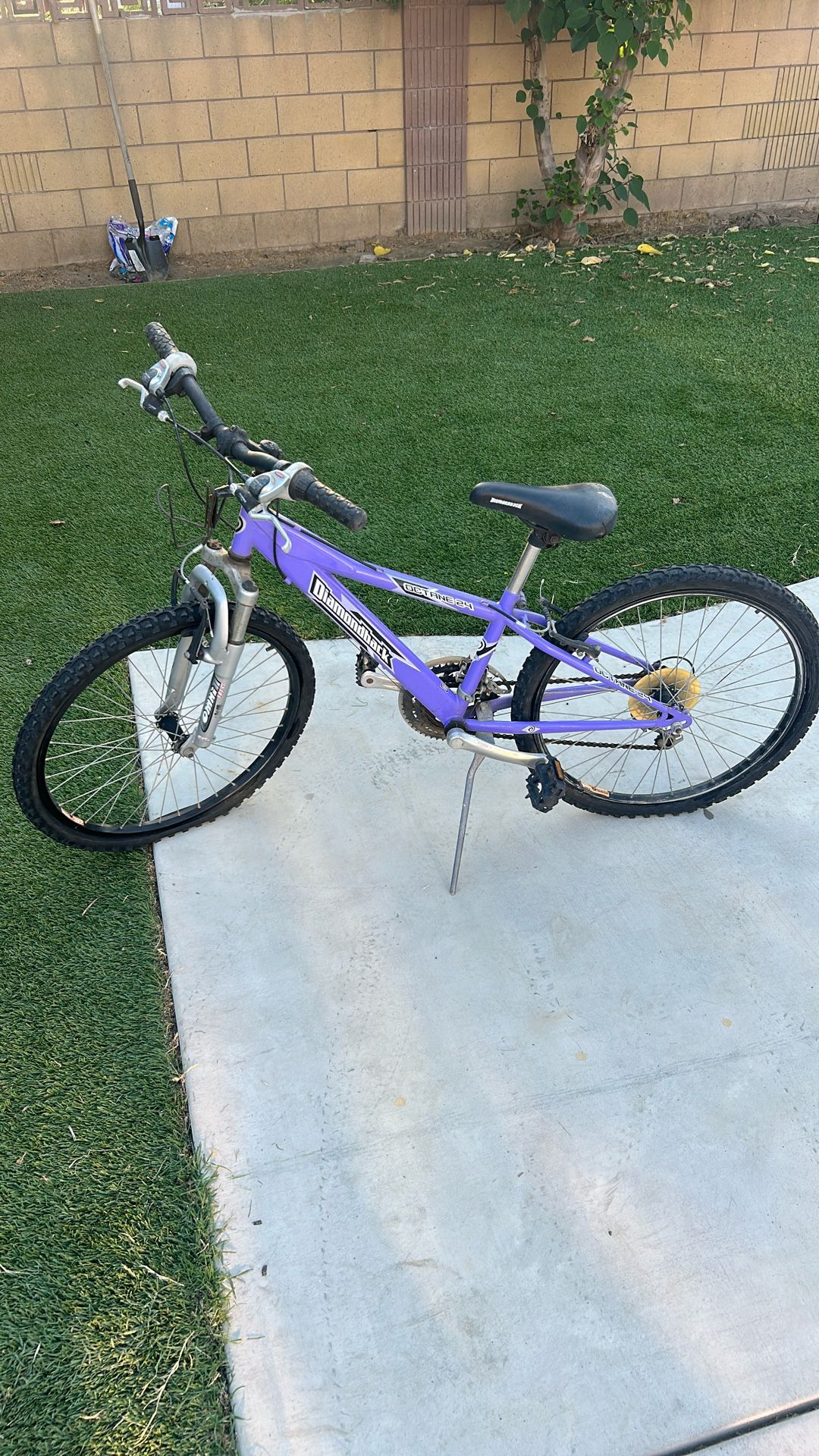 Diamondback Octane24