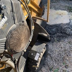 Stump Grinding Special