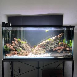 Fish Tank Package